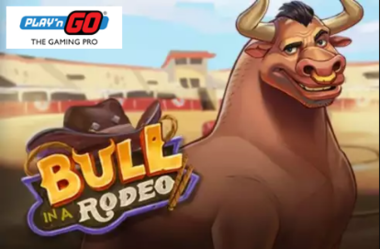 Bull in a Rodeo